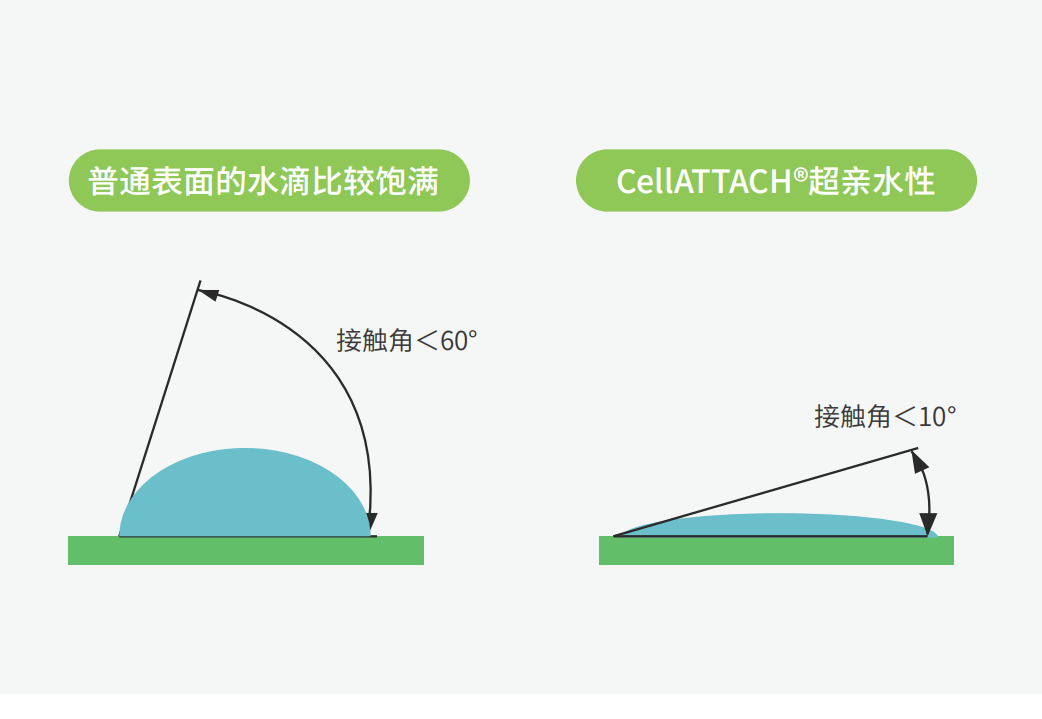 独特的超亲水表面处理技术，能为细胞提供更好的吸附性，促进细胞快速贴壁生长，提高产量